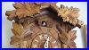 23 Cuckoo Bird Calls In 50 Seconds Cuckoo Clock Coo Coo Compilation